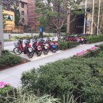 子育て世代に欠かせない電動アシスト自転車の魅力